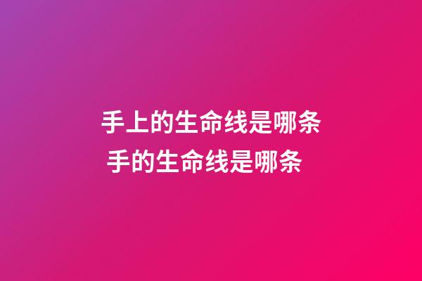 手上的生命线是哪条 手的生命线是哪条-第1张-观点-玄机派